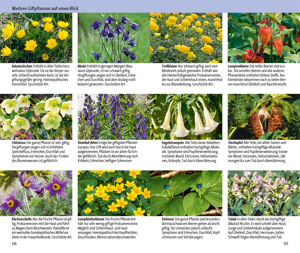 Medicinal Plants and Their Poisonous Lookalikes