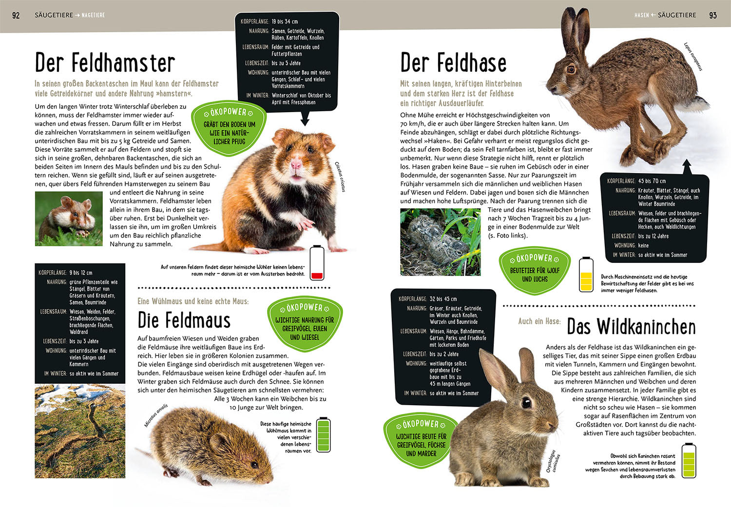 My Cosmos Nature Book