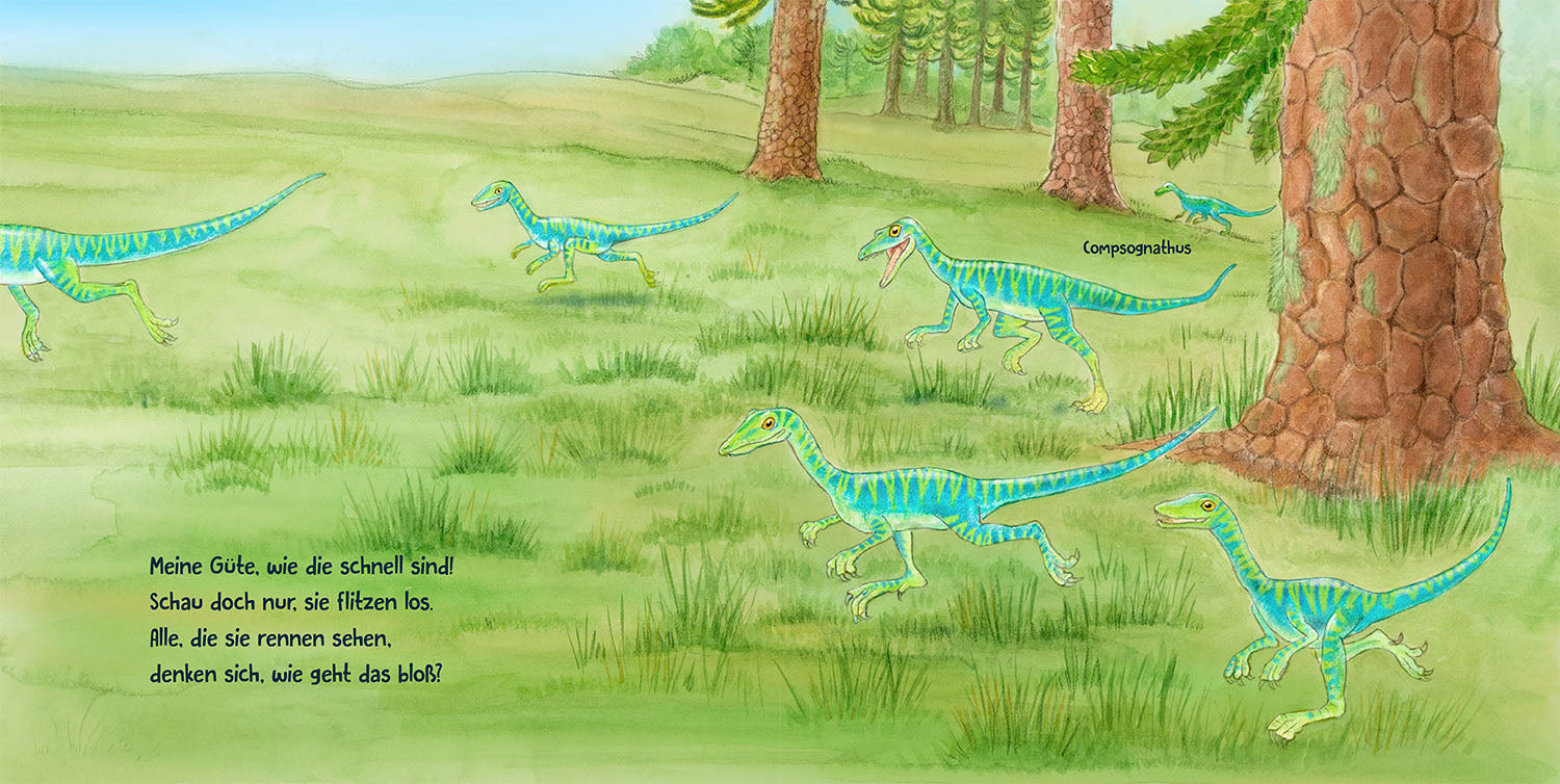 Look at the dinosaurs