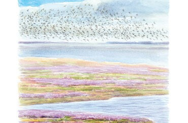 Zwischen Meer und Festland