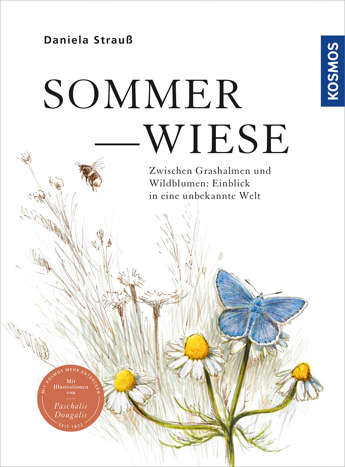 Summer meadow