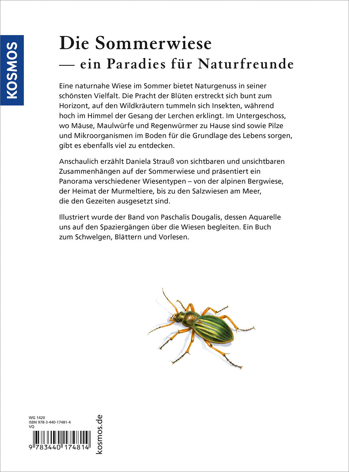 Sommerwiese