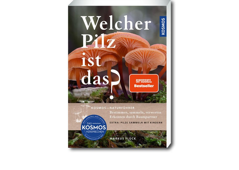 Bestimmen, sammeln, verwerten