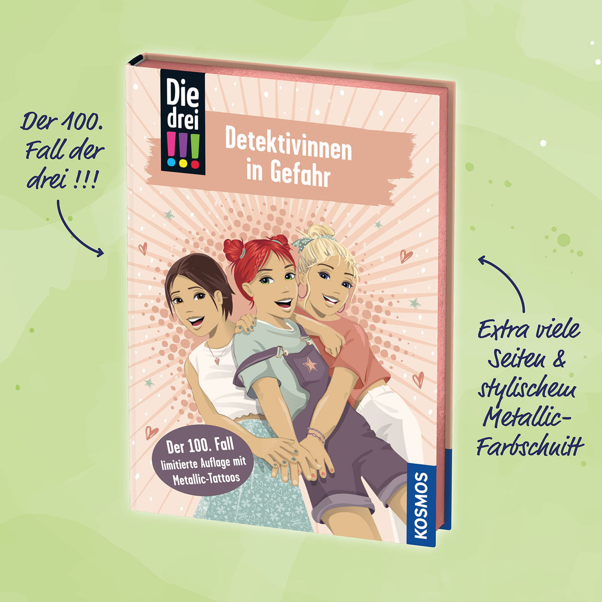 Die drei !!!, 100, Detektivinnen in Gefahr