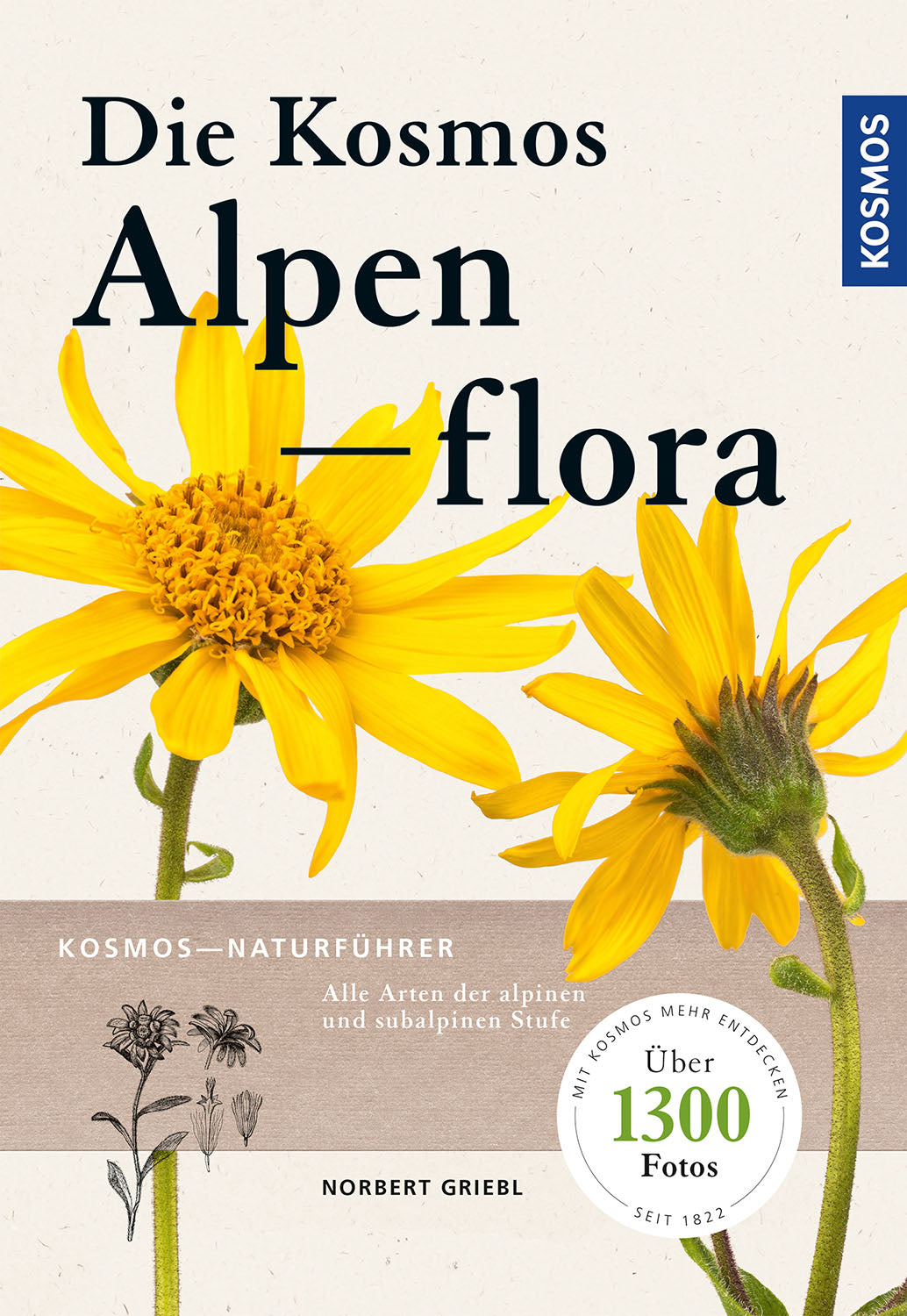 Kosmos Alpine Flowers