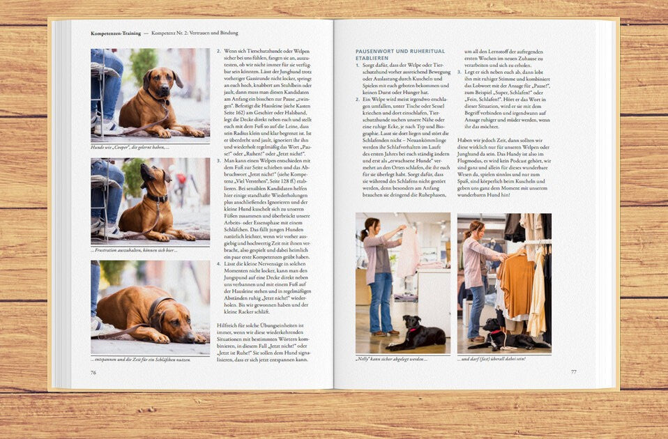 Kompetenztraining für kluge Hunde