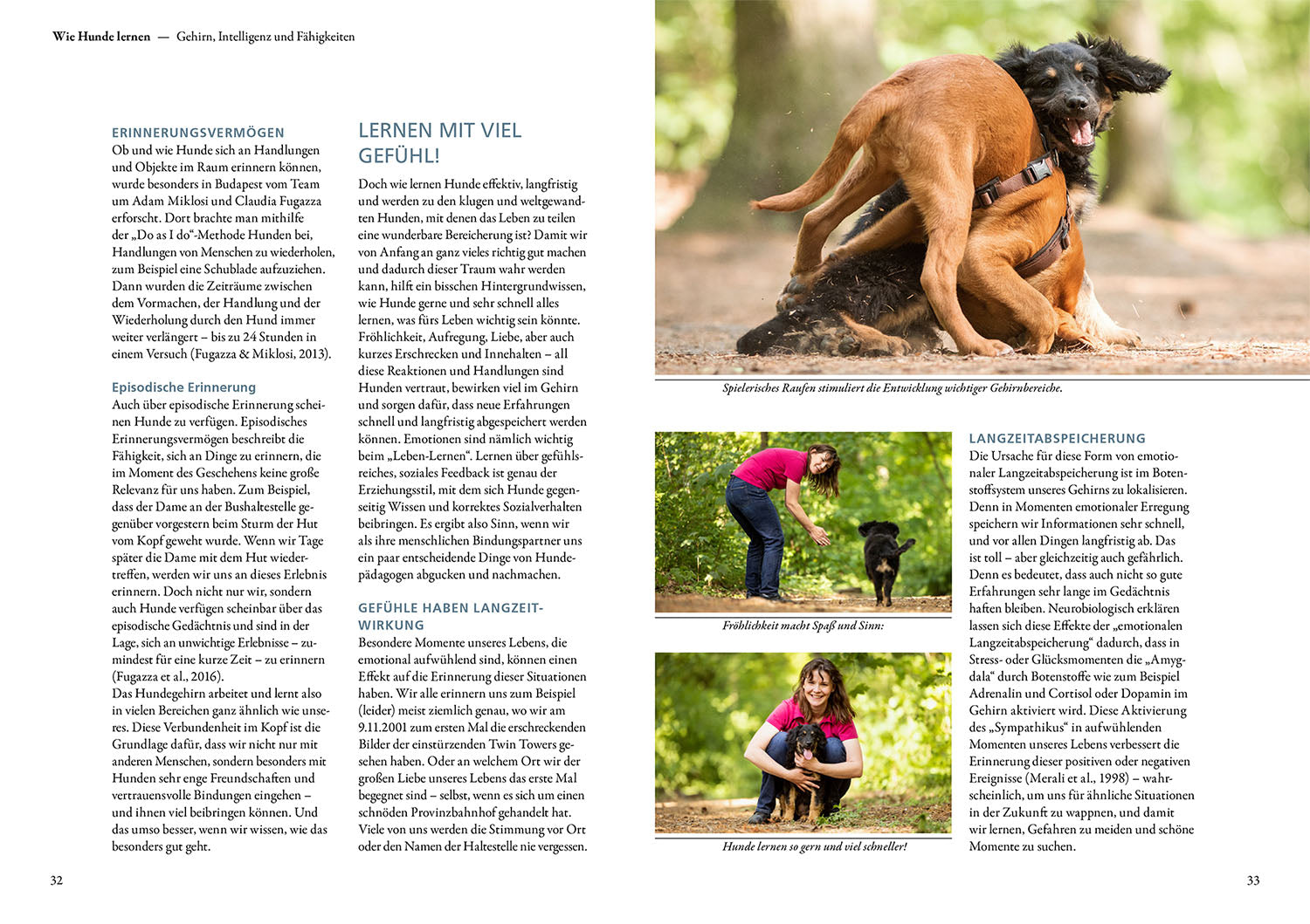The 10 Skills for Dogs