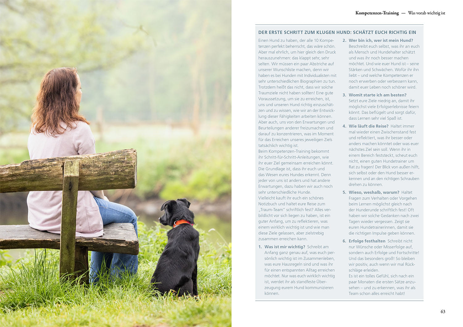 The 10 Skills for Dogs