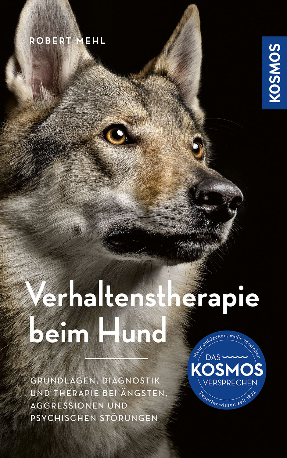 Behavioral Therapy for Dogs