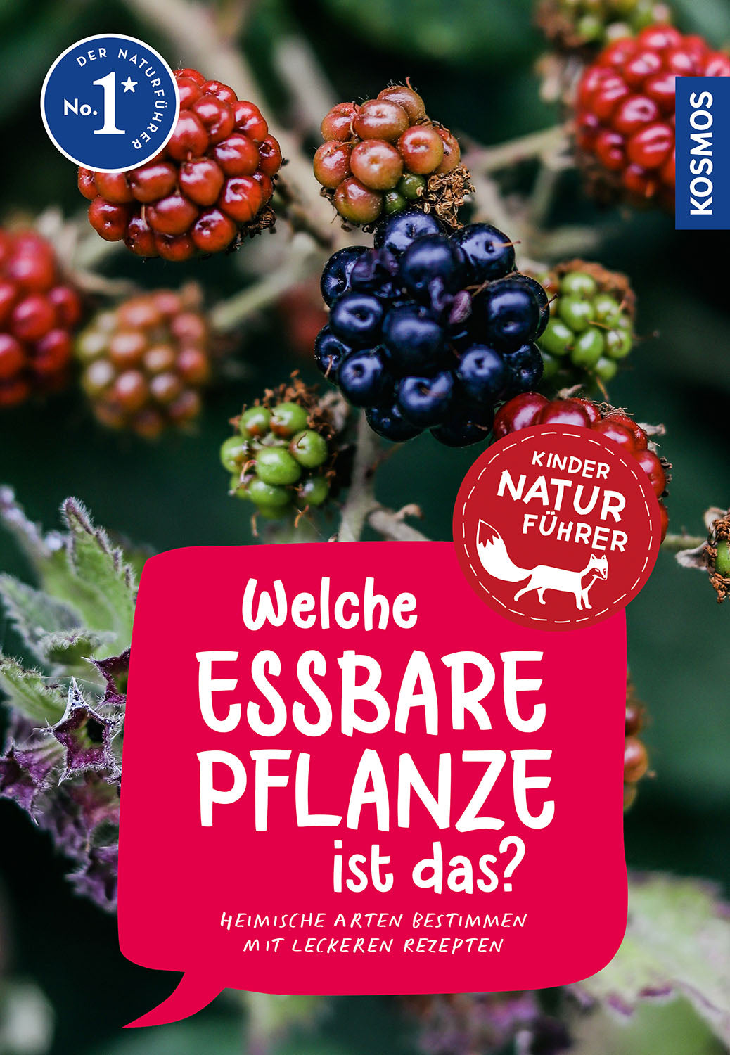Which edible plant is this? Children's Nature Guide