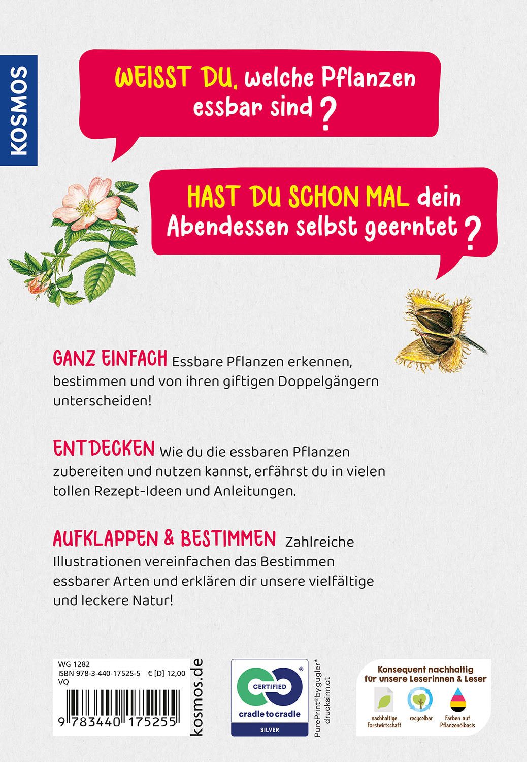 Which edible plant is this? Children's Nature Guide