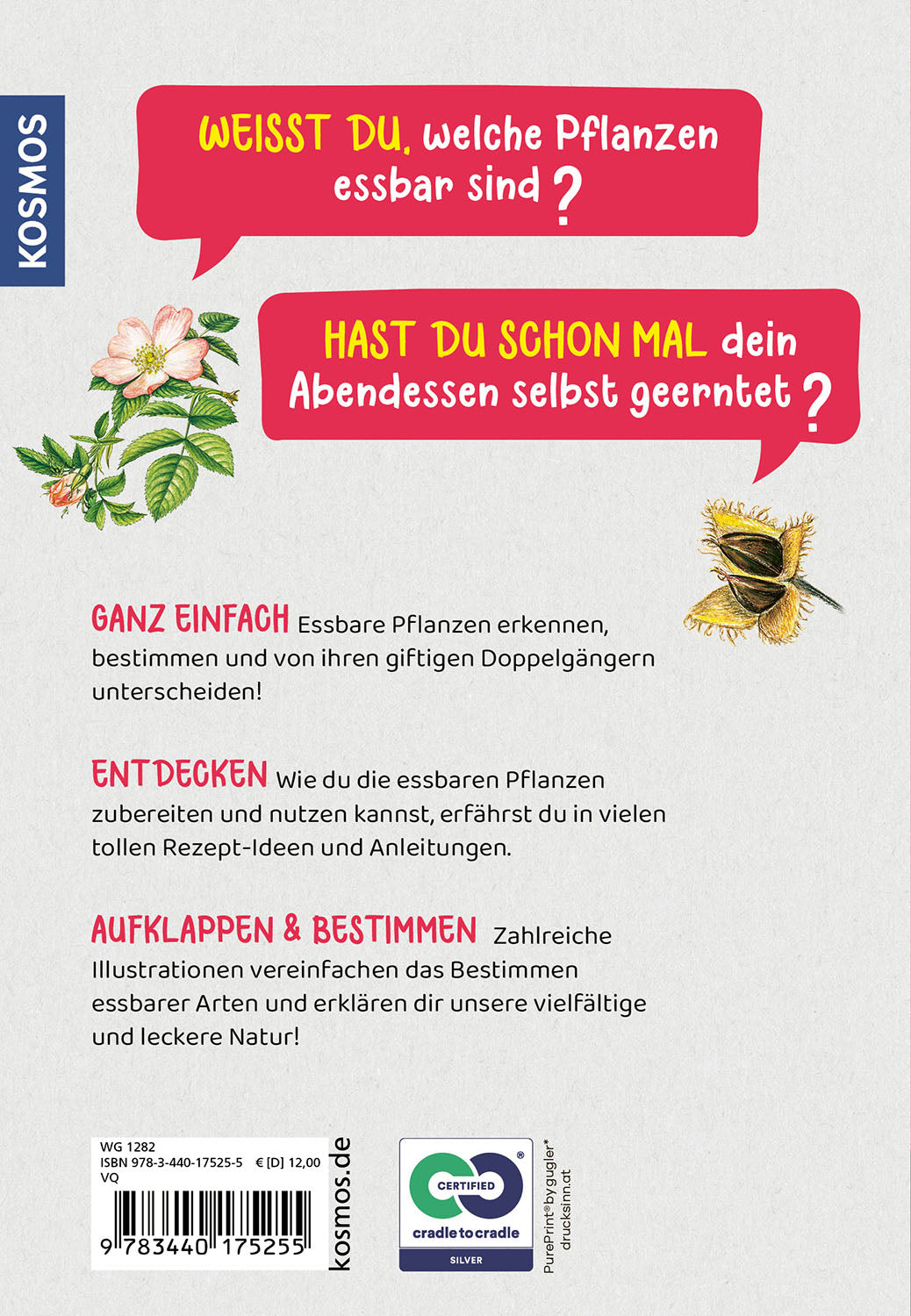 Welche essbare Pflanze ist das? Kindernaturführer