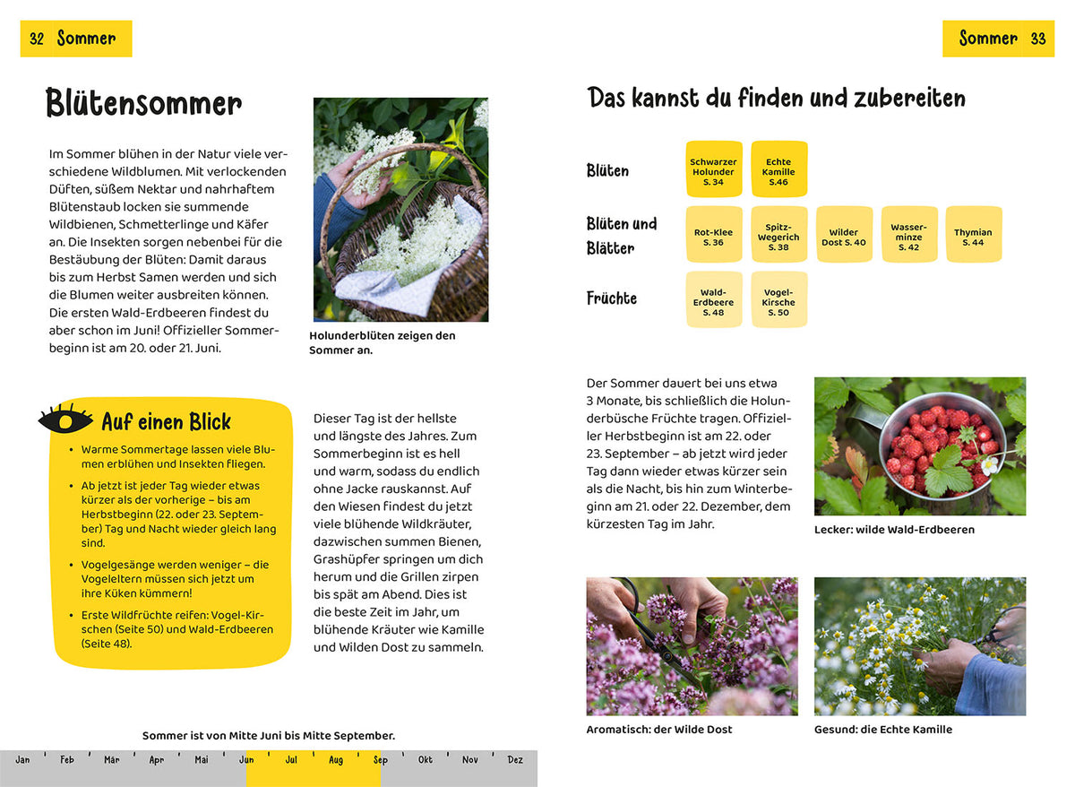 Which edible plant is this? Children's Nature Guide