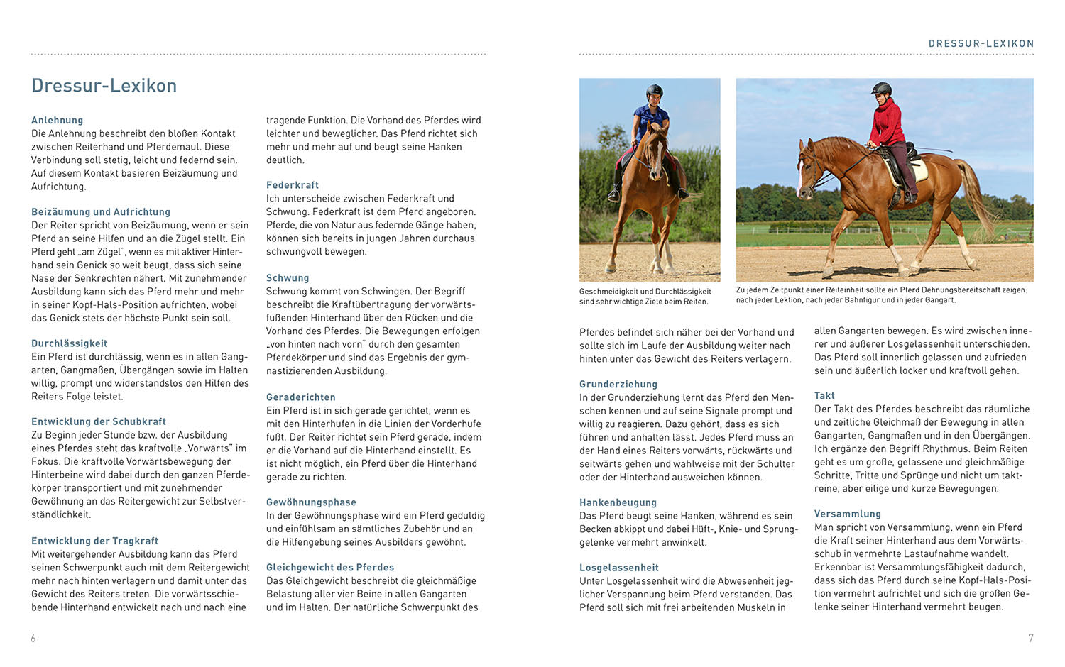Lessons for the Riding Class