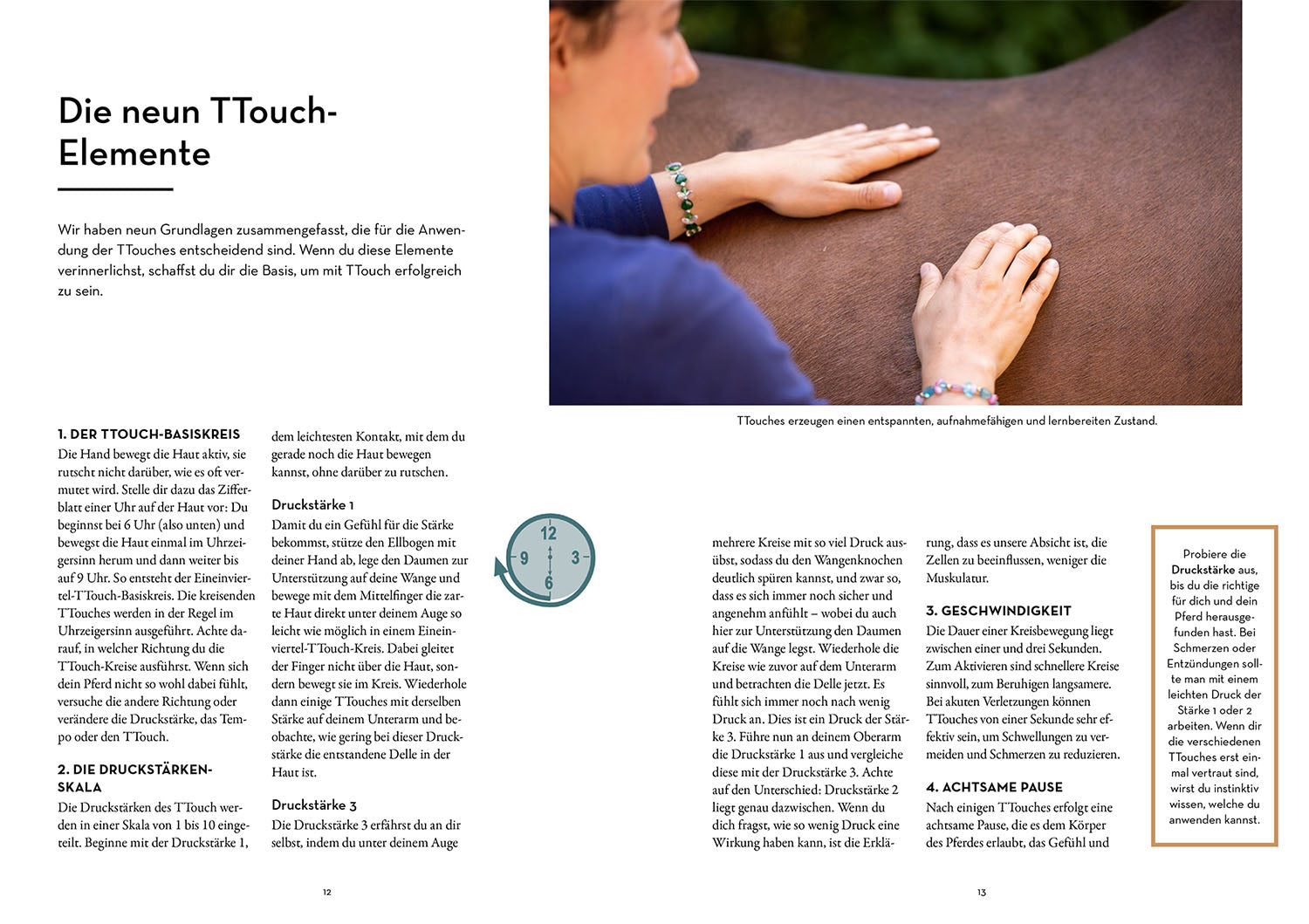 Building Trust with Tellington TTouch