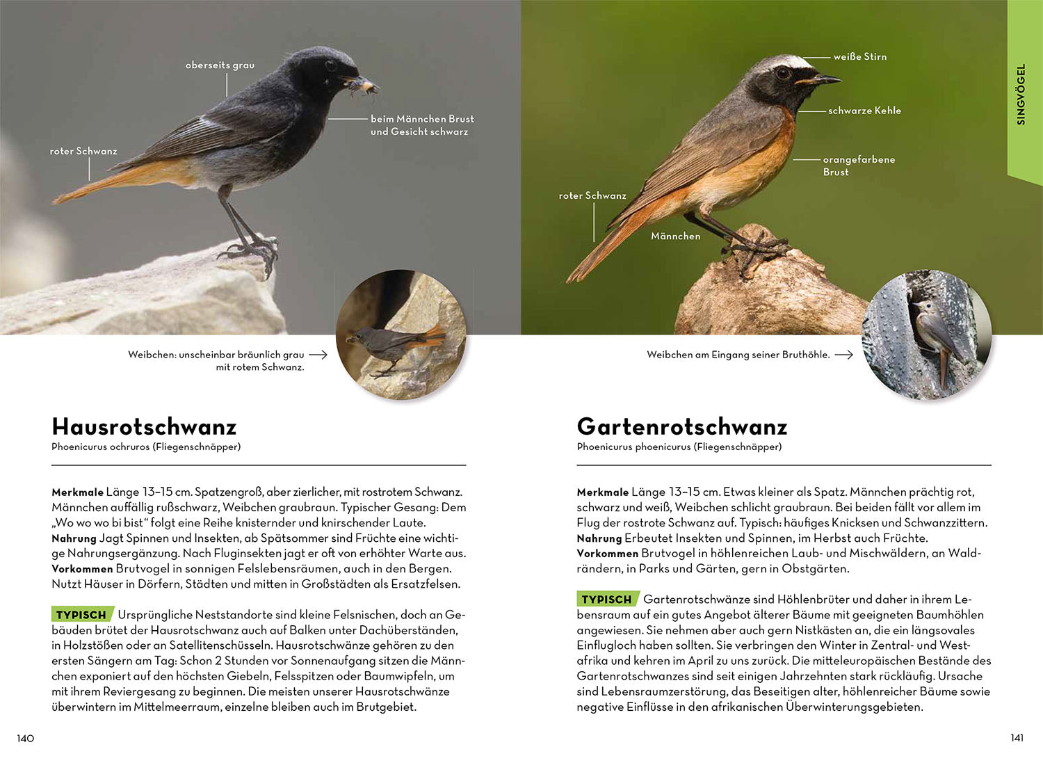 Animals and plants of your homeland