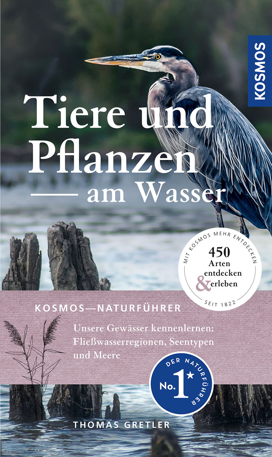 Animals and Plants by the Water
