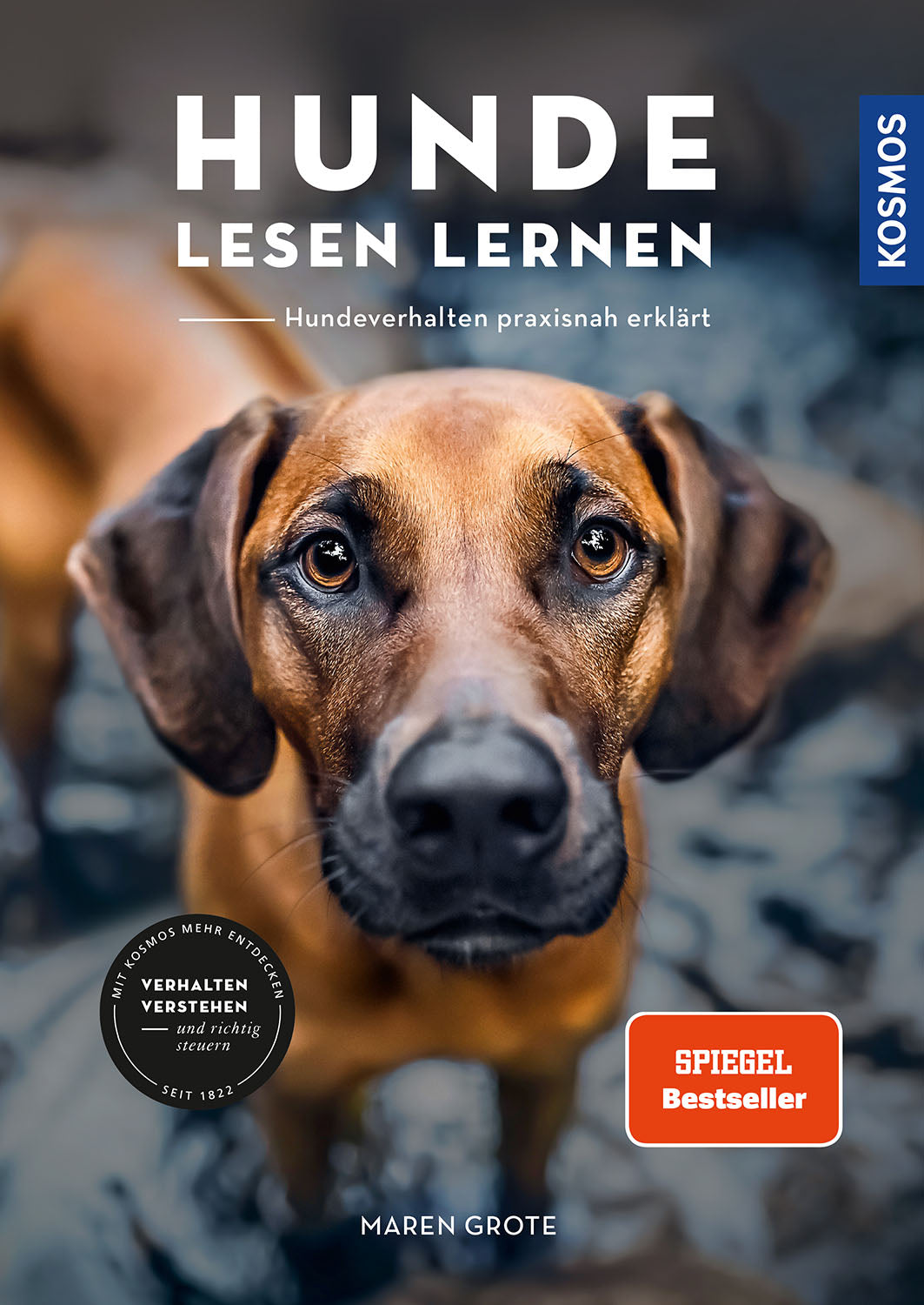 Learning to read dogs