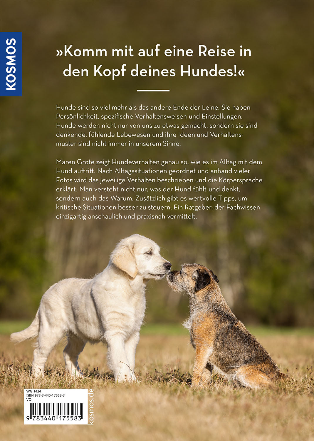Hunde lesen lernen