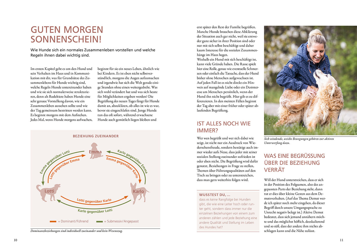 Hunde lesen lernen