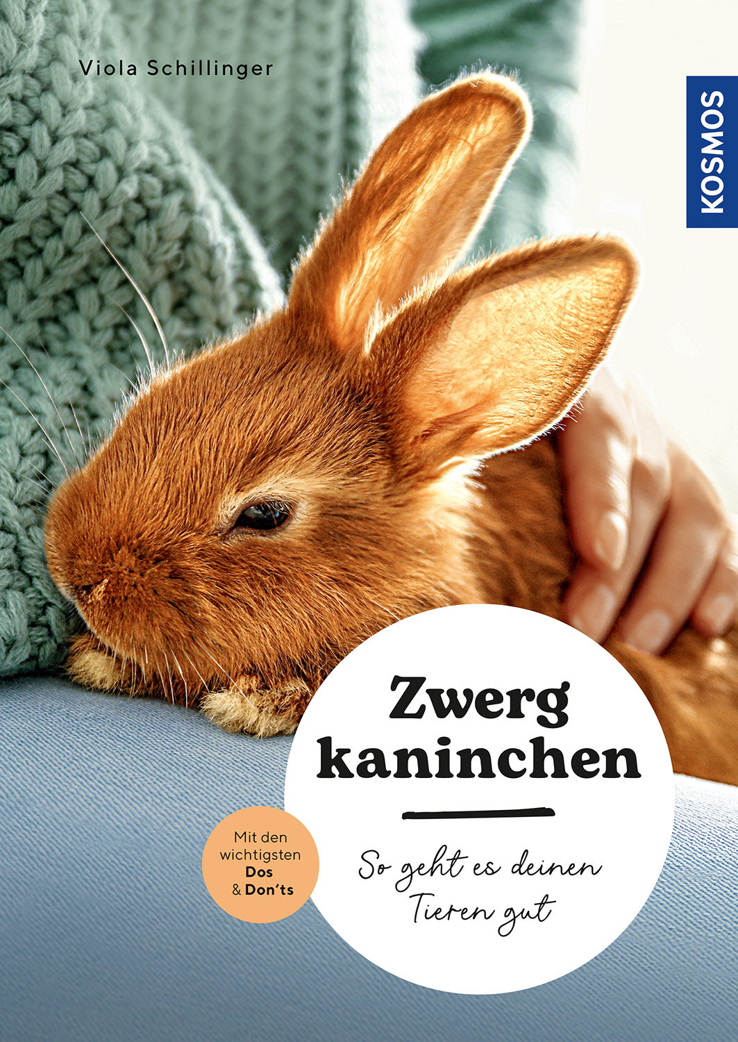 Dwarf rabbit