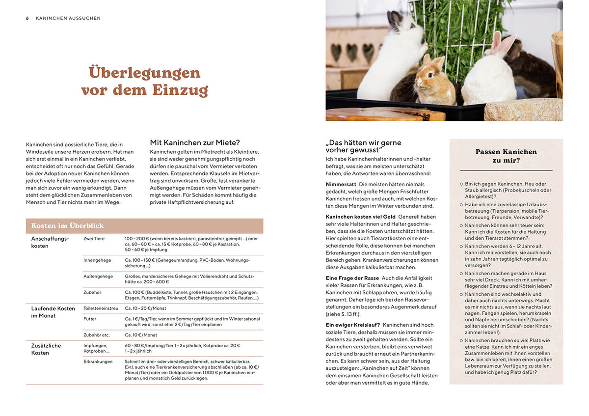 Zwergkaninchen