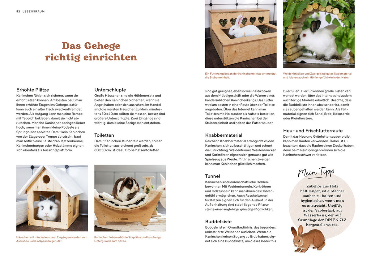Zwergkaninchen