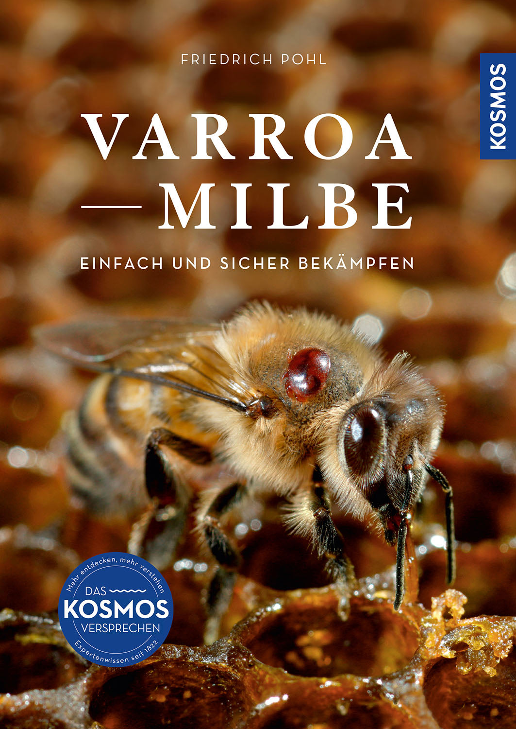 Varroa mite