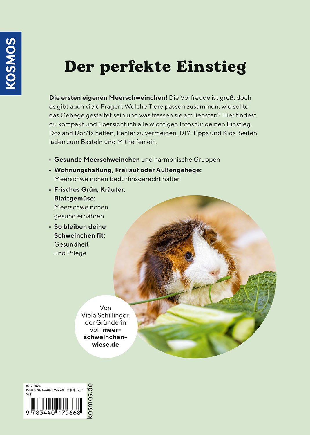 Guinea pig