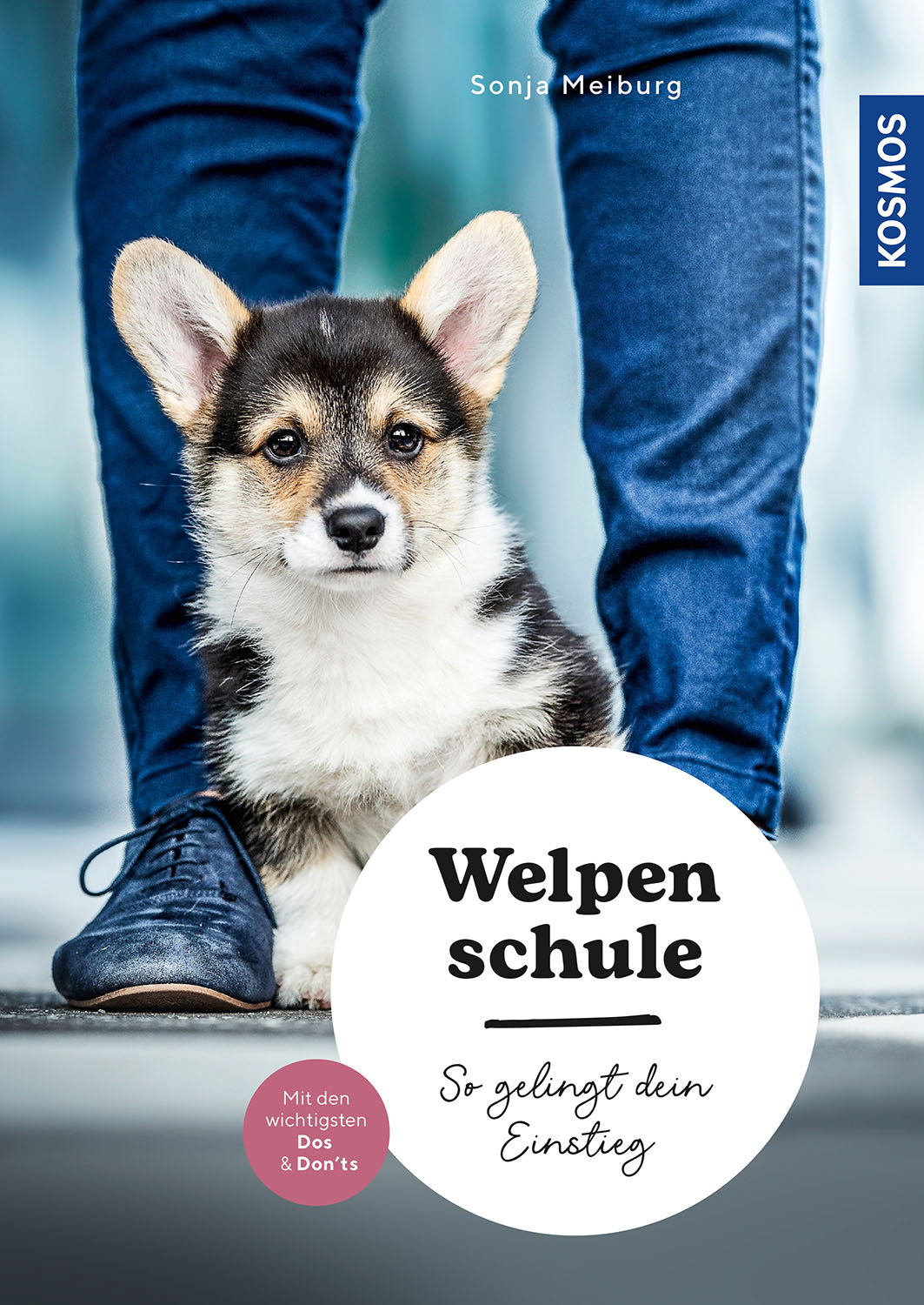 Puppy School