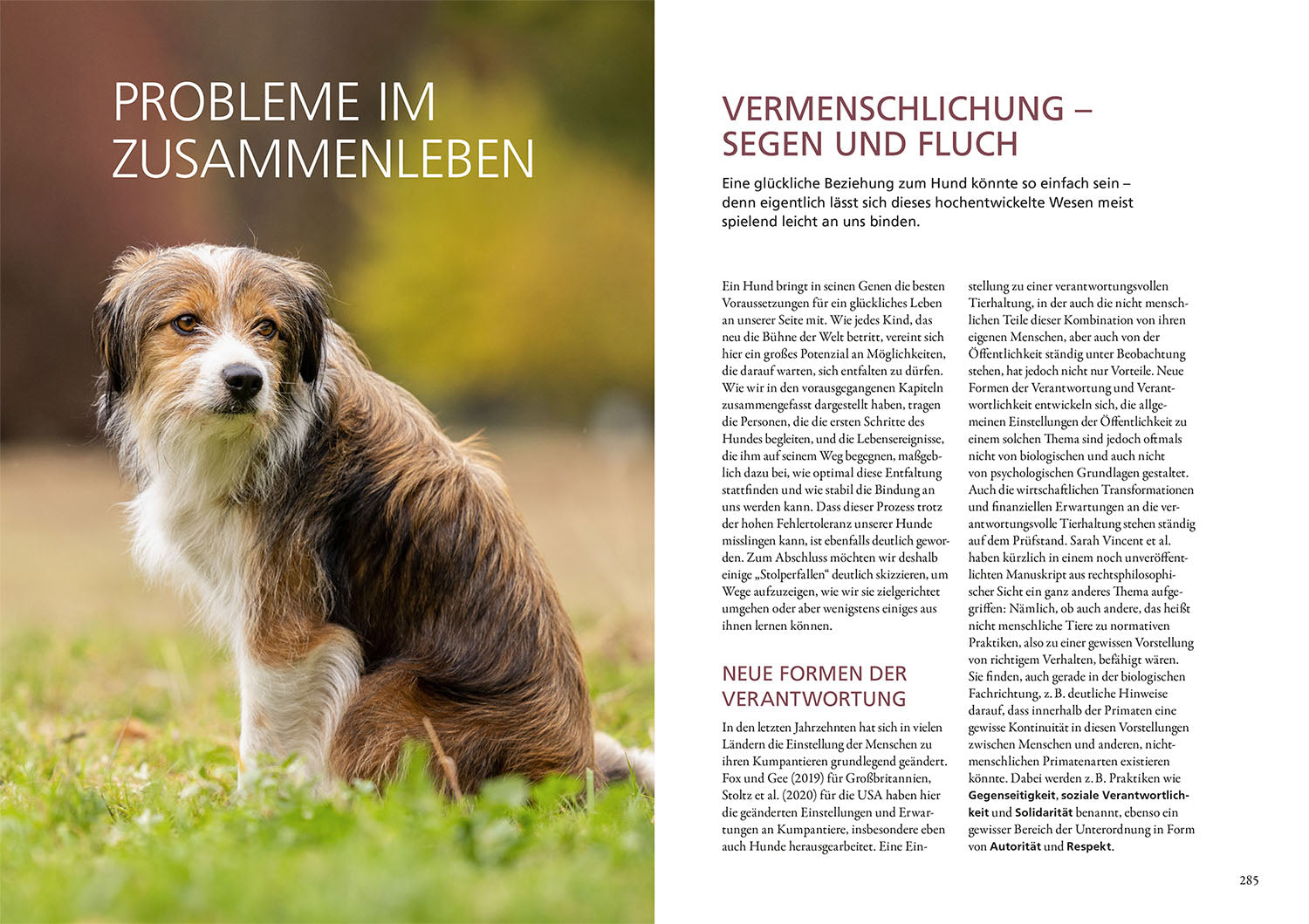 Beziehung, Erziehung, Bindung