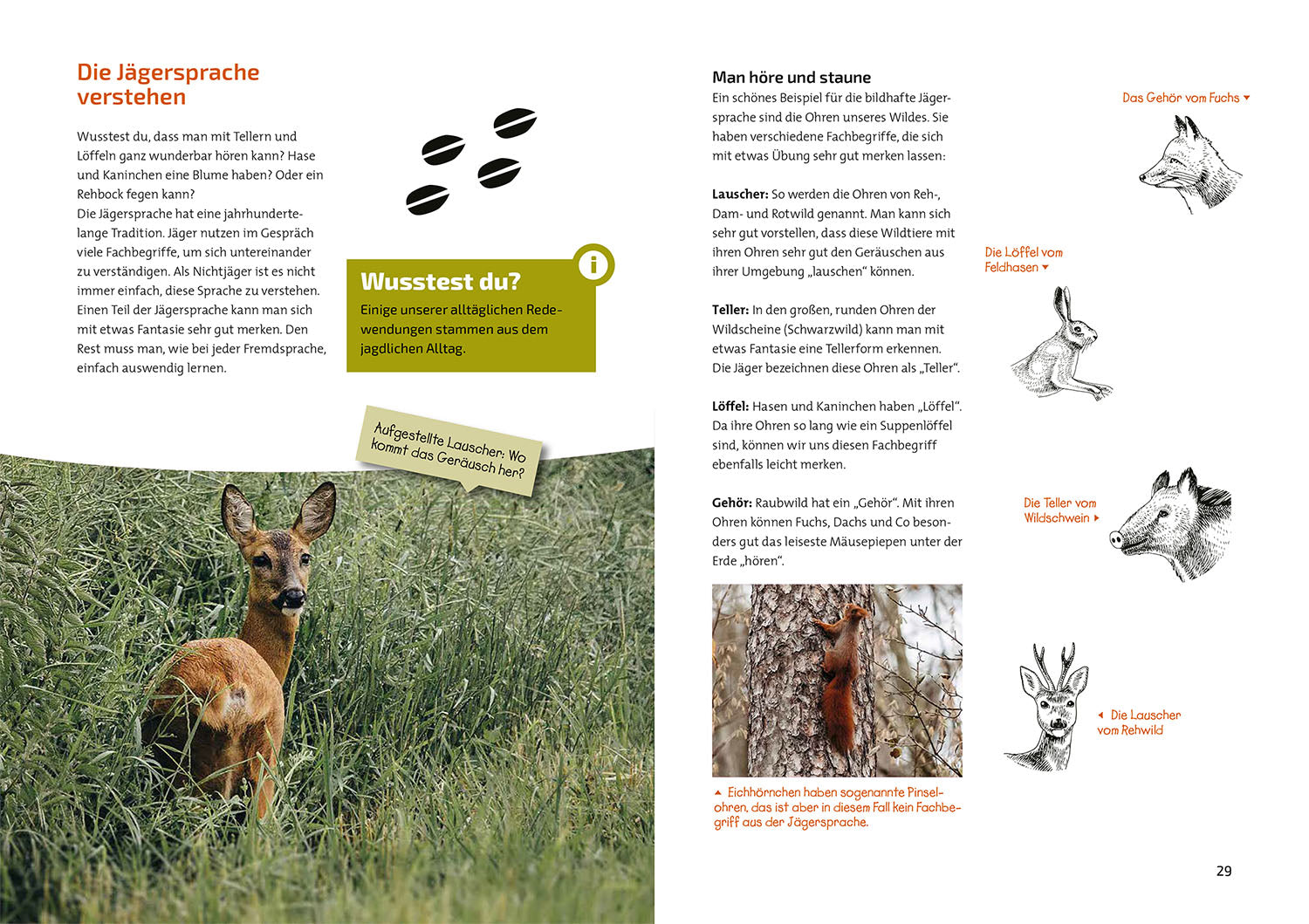 Das Jagdbuch für Kids
