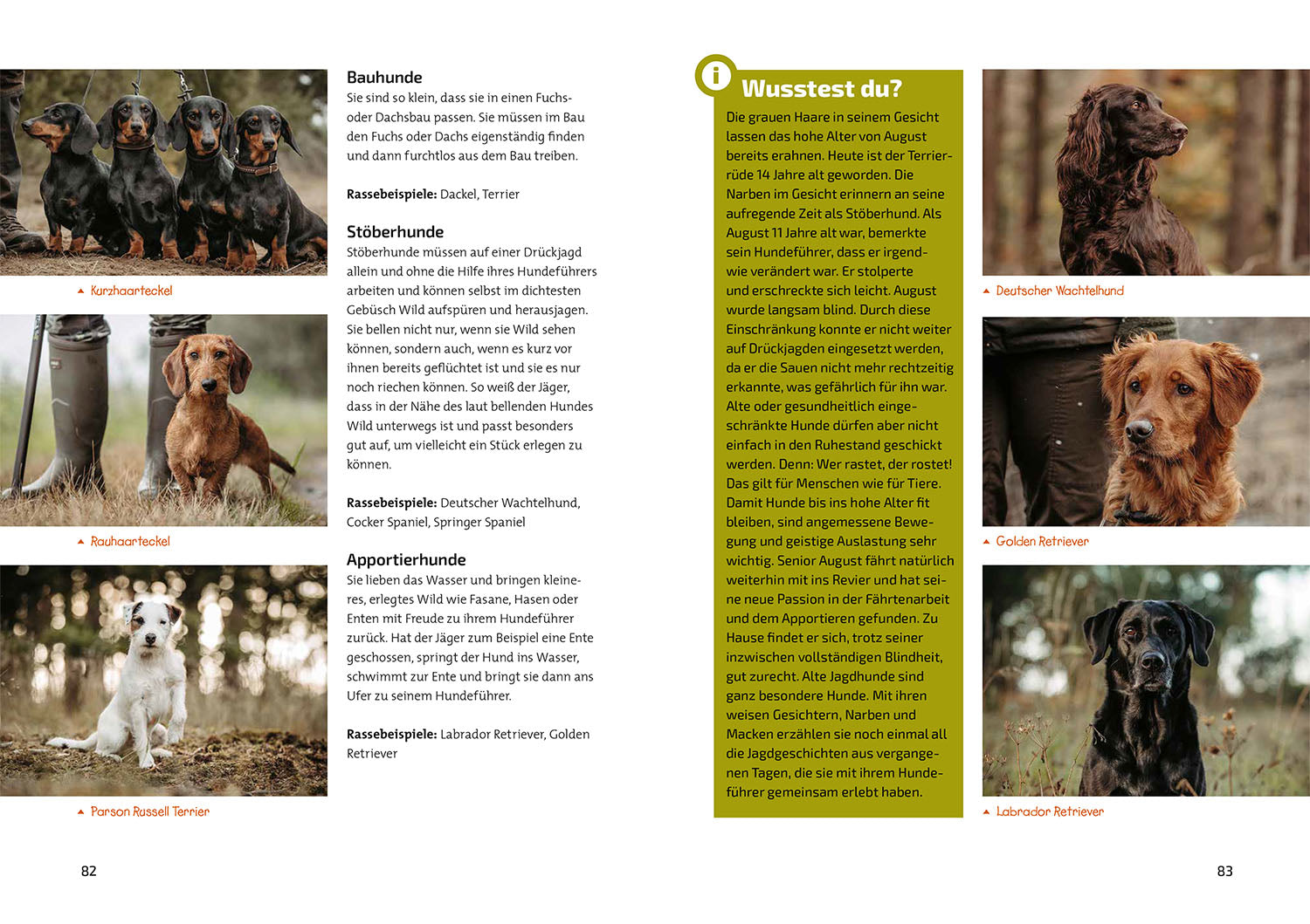 Das Jagdbuch für Kids