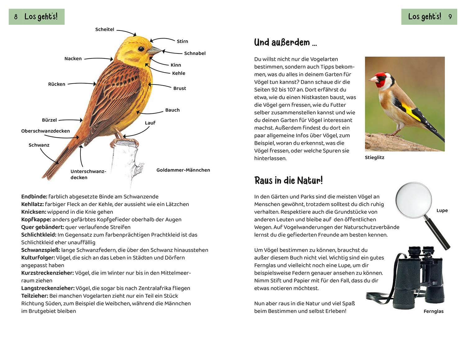 Welcher Gartenvogel ist das? Kindernaturführer