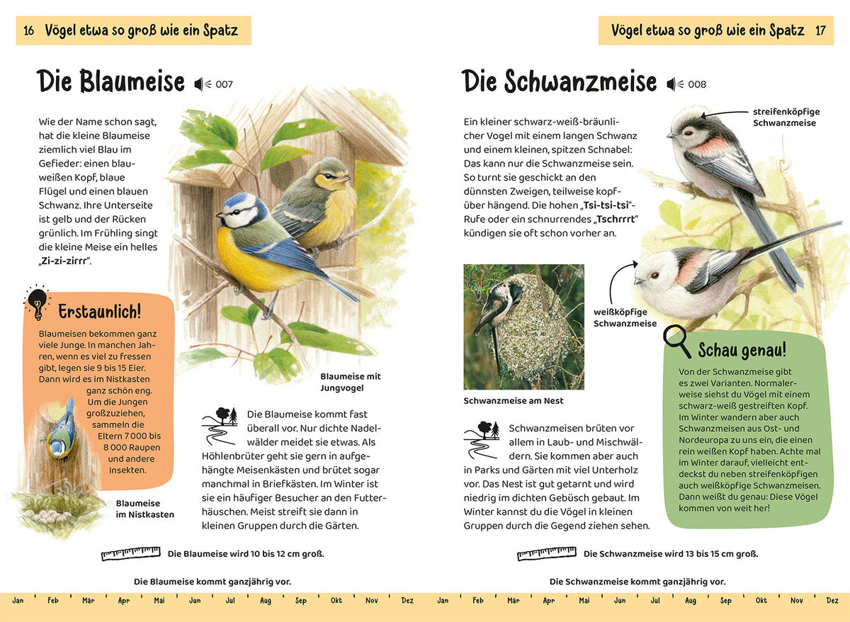 Which garden bird is that? Children's nature guide