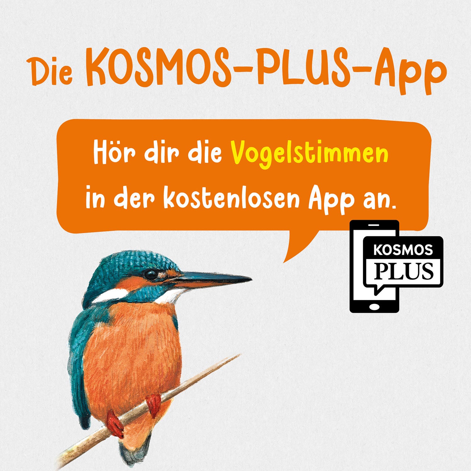 Welcher Gartenvogel ist das? Kindernaturführer
