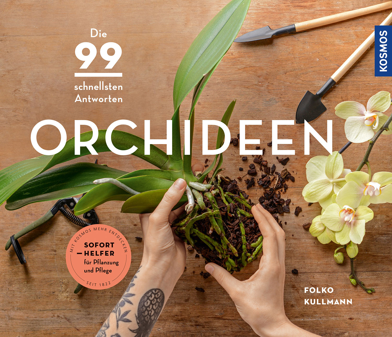 Orchids