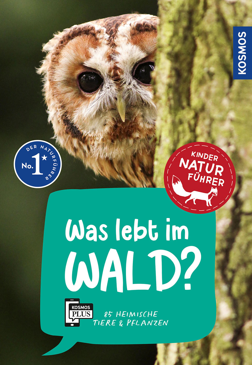 What lives in the forest? Children's Nature Guide