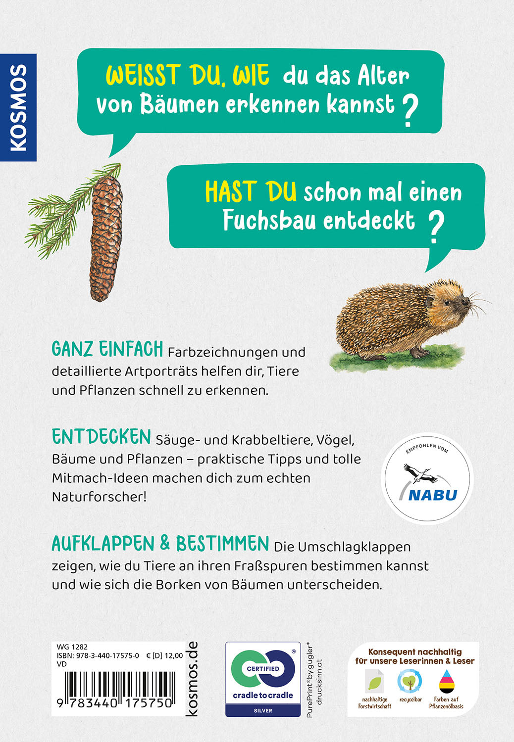 What lives in the forest? Children's Nature Guide