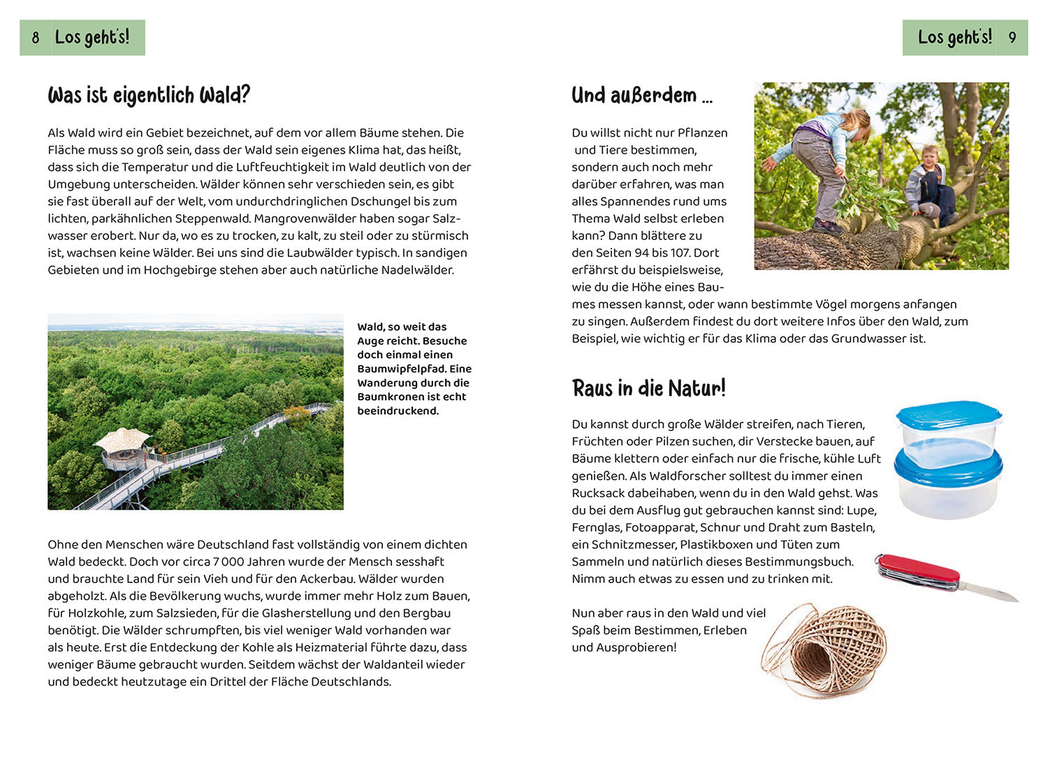 What lives in the forest? Children's Nature Guide