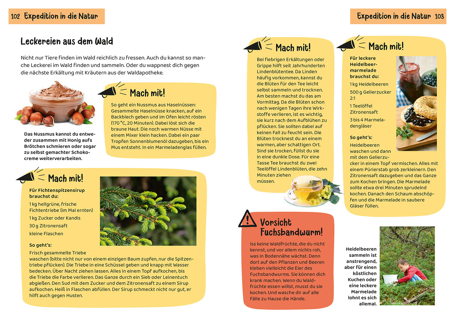 What lives in the forest? Children's Nature Guide