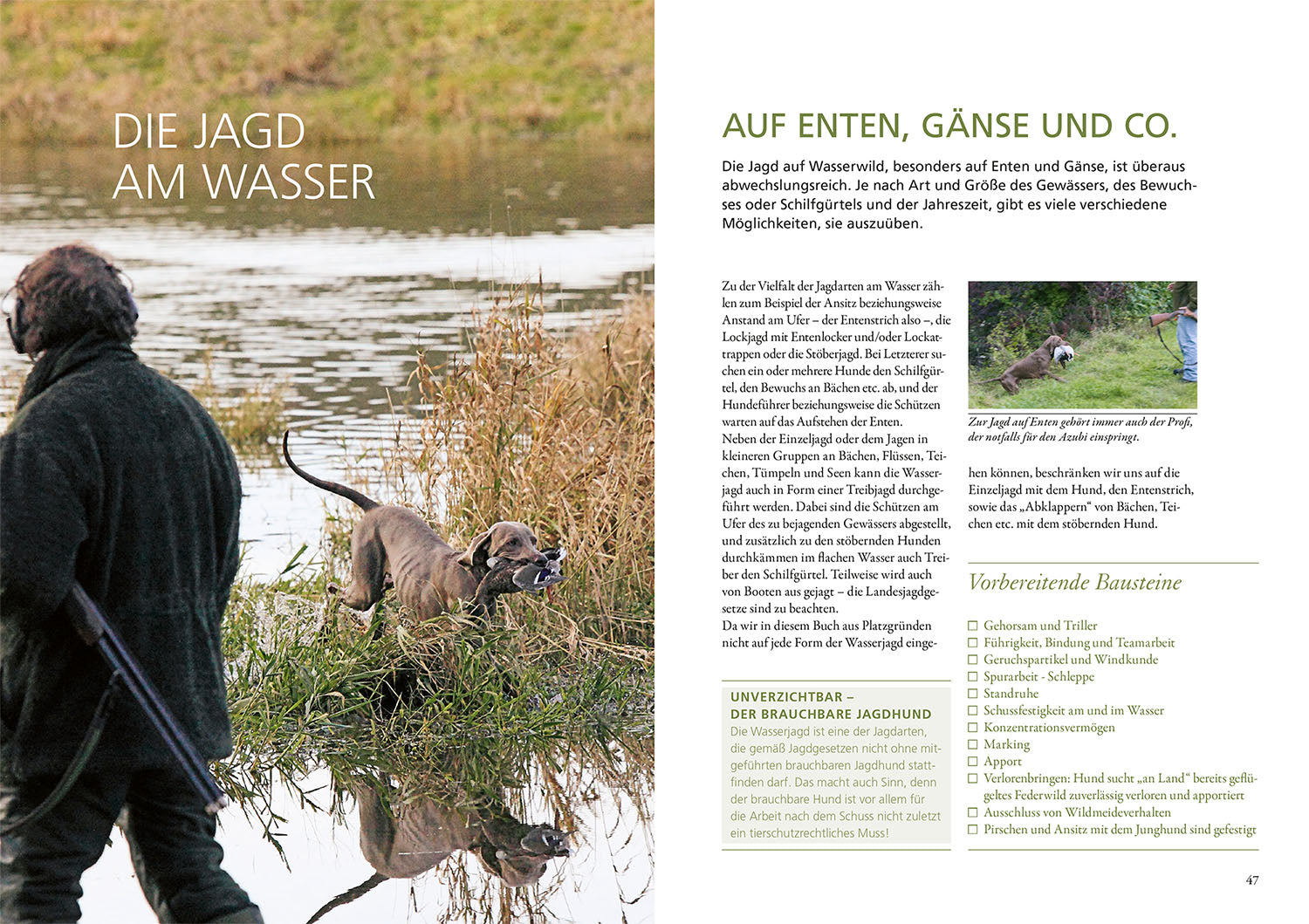 Die Ausbildung des Jagdhundes