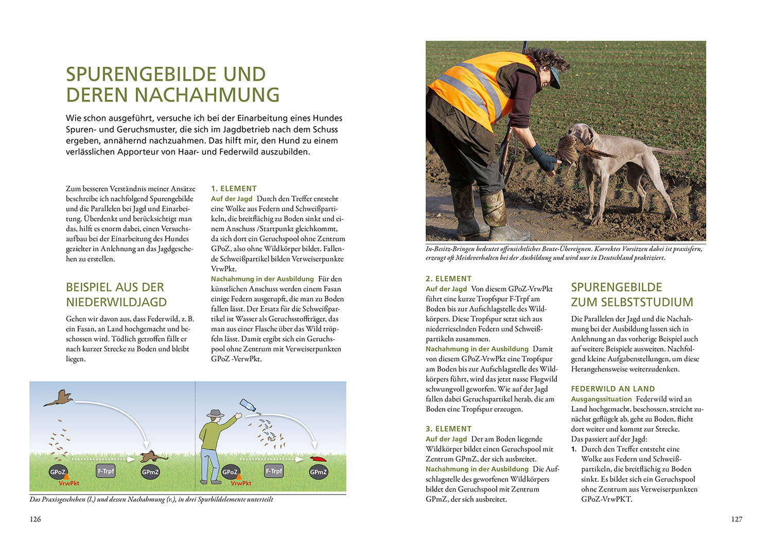Die Ausbildung des Jagdhundes
