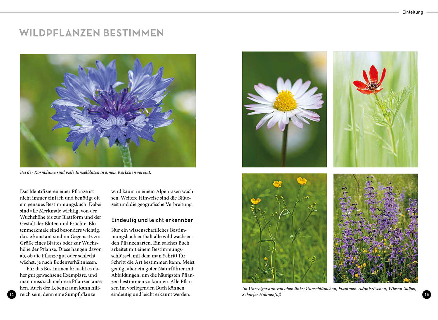 Lieblingsblumen