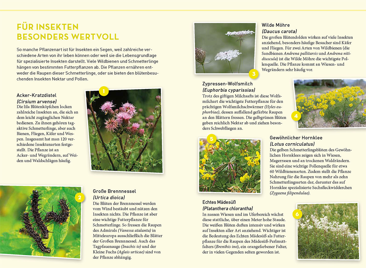 Lieblingsblumen
