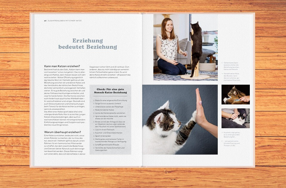 Kätzchen willkommen!