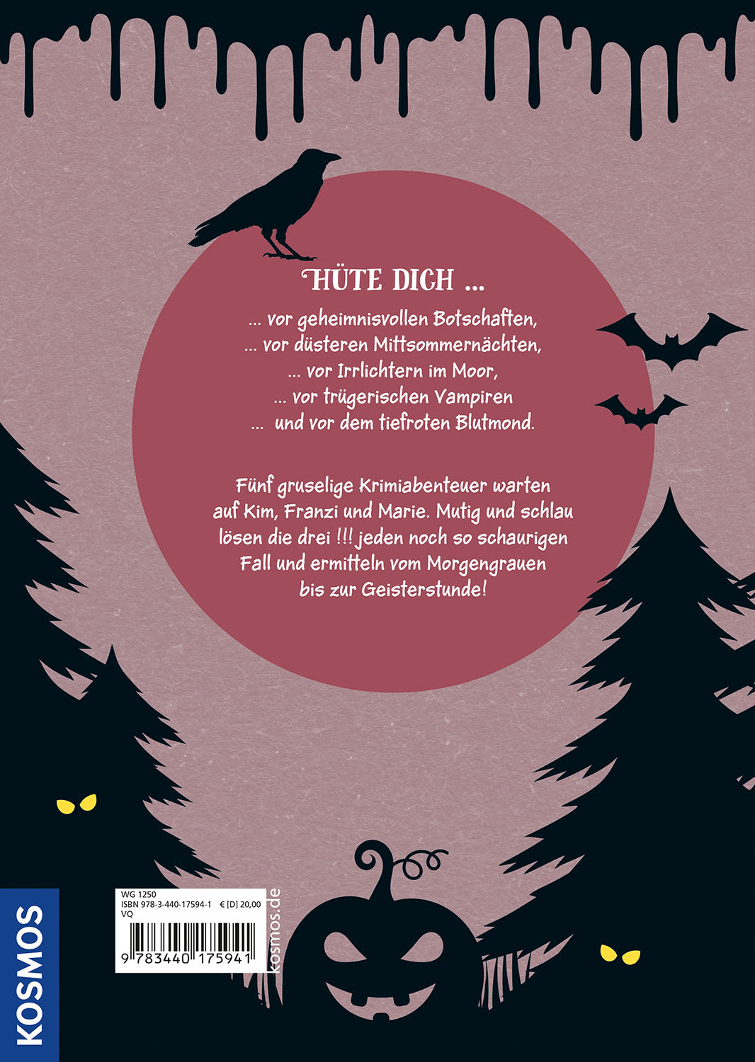 Die drei !!!, Geisterstunde