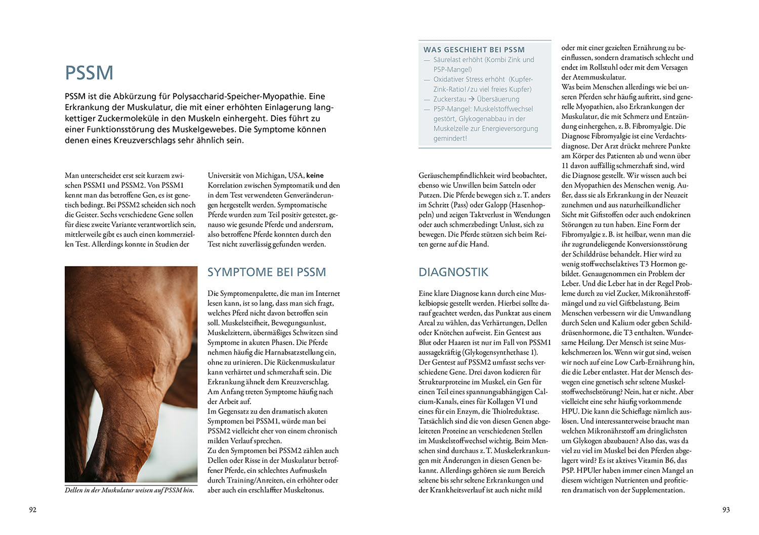 Metabolic Disorders in Horses