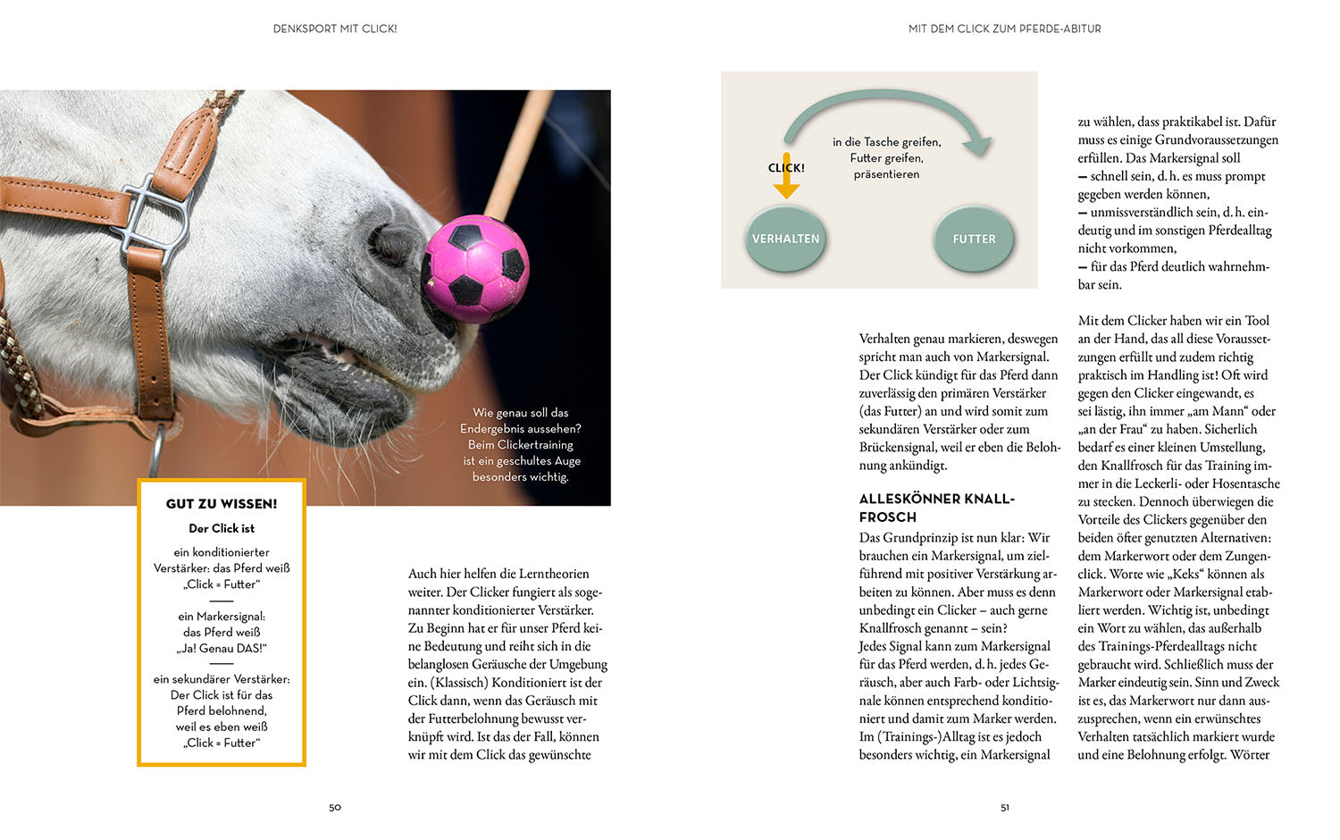 Brain training for clever horses