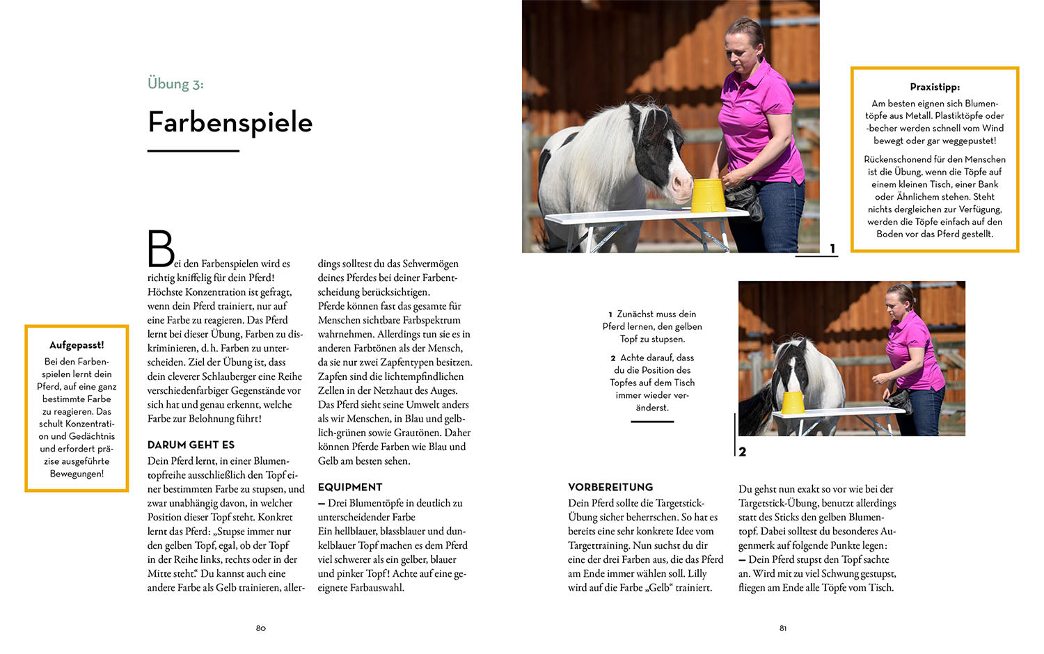 Brain training for clever horses